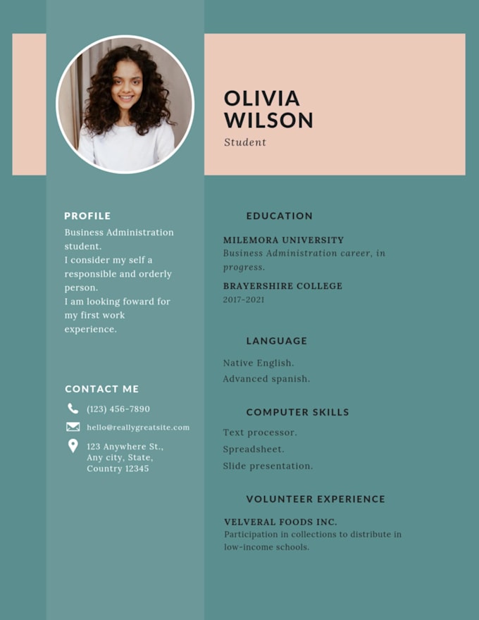 Gig Preview - Do portfolio design and CV design