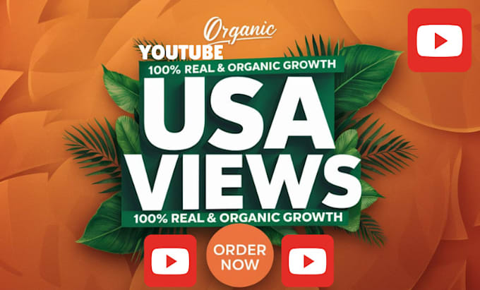 Gig Preview - Do USA youtube promotion to usa targeted audience