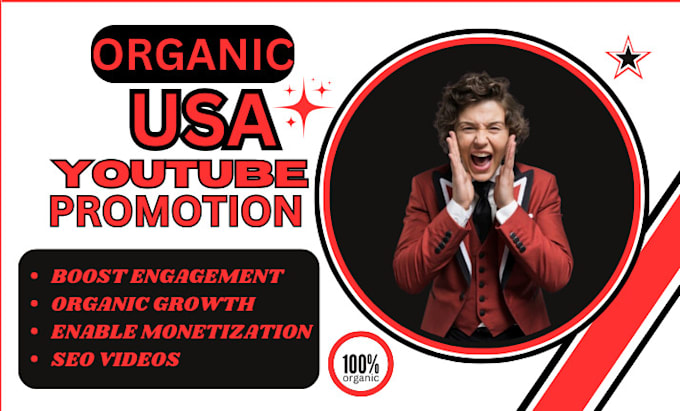 Gig Preview - Usa youtube promotion USA channel video promotion and marketing to USA audience