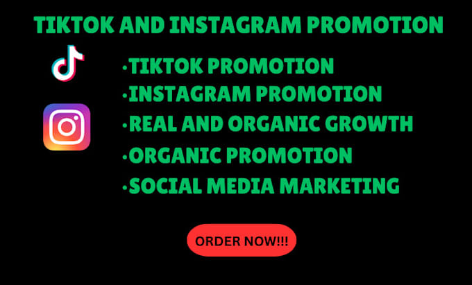 Gig Preview - Do expert tiktok and instagram promotion for rapid growth