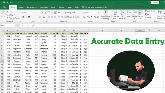 Gig Preview - Do perfect and accurate data entry