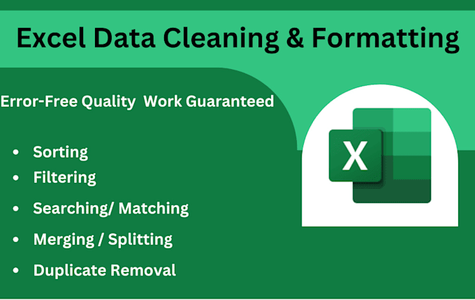 Gig Preview - Clean, organize, and format your excel or CSV data