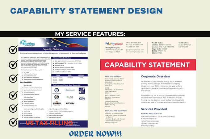 Gig Preview - Design effective federal government capability statement, capability statement