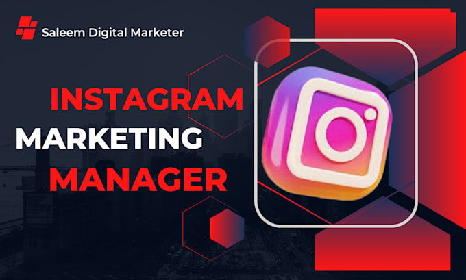 Gig Preview - Be your instagram marketing manager