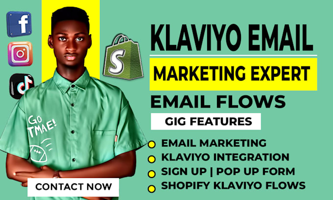 Gig Preview - Setup email marketing klaviyo flows shopify ecommerce marketing sales funnel