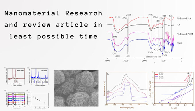 Gig Preview - Write the nanomaterial research article