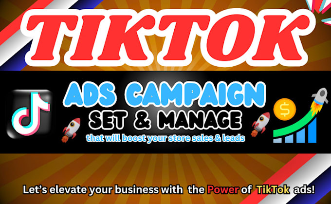 Gig Preview - Setup tik tok ads campaign, tik tok ads and manage tik tok ads video