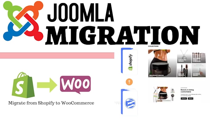 Gig Preview - Migrate your joomla website to wordpress