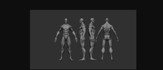 Gig Preview - 3d anatomy model for 3d printing,3d head bust, 3d anatomy,zbrush,stl file,maya