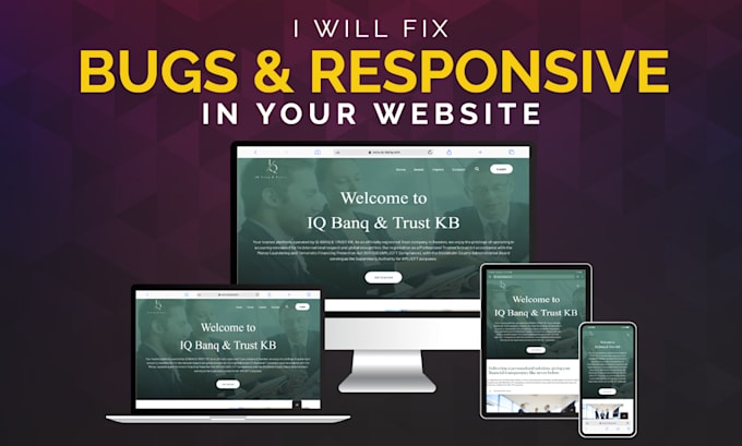 Gig Preview - Fix bugs and responsive issue in your website