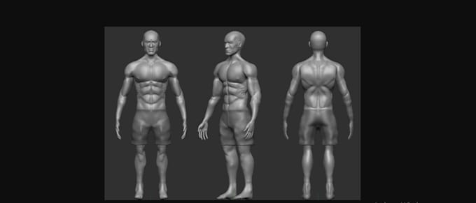 Gig Preview - 3d anatomy muscular model,sculpt3d face headburst for 3dprint,substances painter