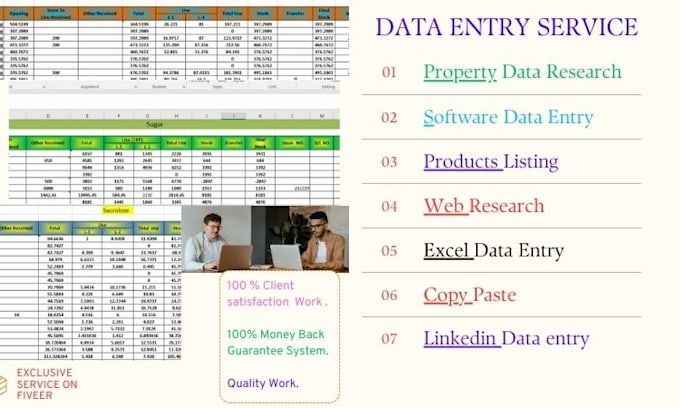 Gig Preview - Do data entry ,typing, copy paste,erp data entry