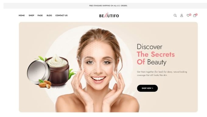 Gig Preview - Design profitable skin care website skincare shopify store beauty spa website