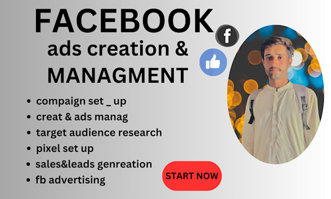 Gig Preview - Setup facebook ads campaign for leads and sales