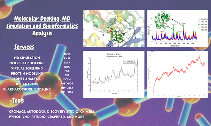 Gig Preview - Do molecular dynamics simulation, molecular docking and bioinformatics analysis