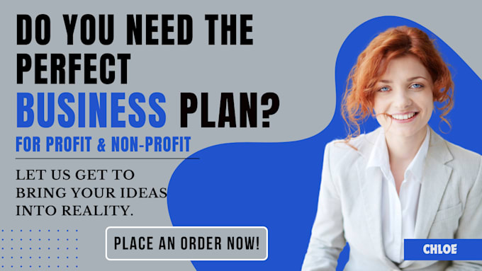 Gig Preview - Write business plan with detailed financial model