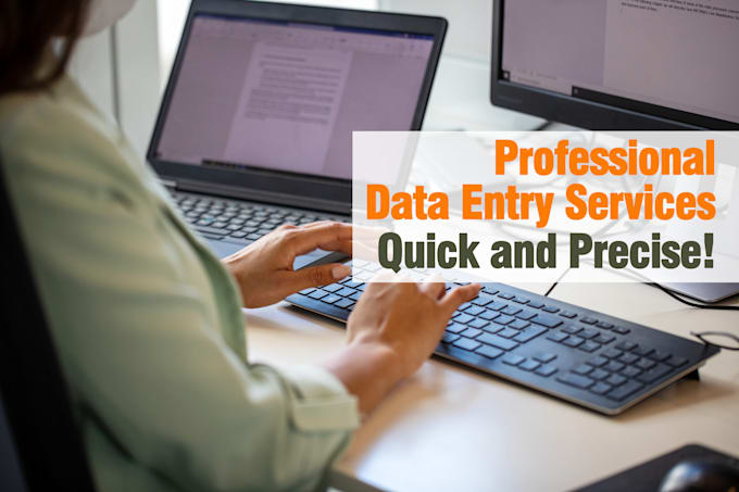 Gig Preview - Deliver quick and precise professional data entry services