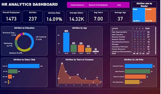 Gig Preview - Transform your HR data with analytics insights