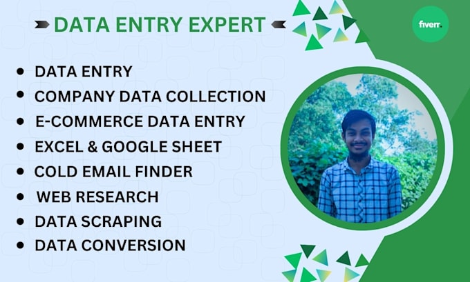 Gig Preview - Do data entry expert, web research, typing and copypaste