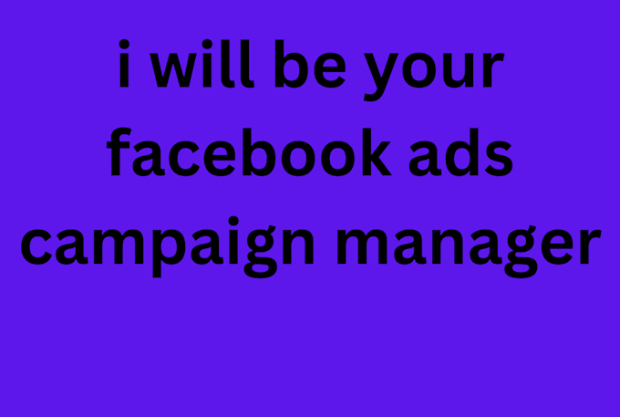 Gig Preview - Be your facebook ads campaign manager