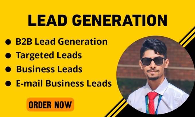 Gig Preview - B2b lead generation for your company