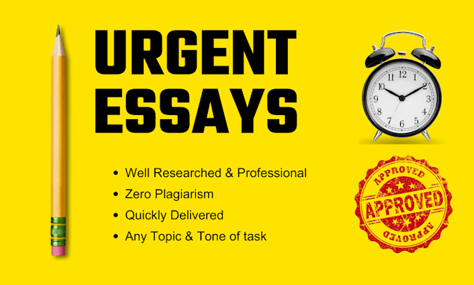 Gig Preview - Write and edit urgent essay and business report for you