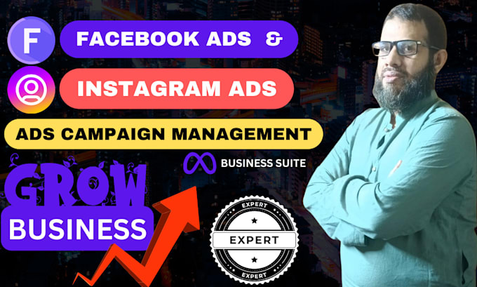 Gig Preview - Set up facebook and instagram ad campaigns and optimize for growth