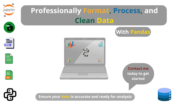 Gig Preview - Professionally format, process, and clean data with pandas