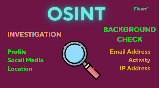 Gig Preview - Do private investigation and background checks with osint