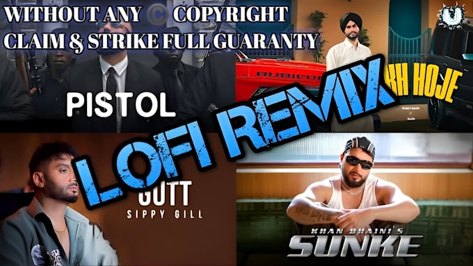 Bestseller - make punjabi remix songs,lofi,extreme,normal any type