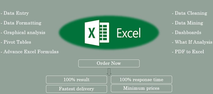 Gig Preview - Do fastest data mining and analysis in one day