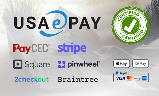 Gig Preview - Create paypal payment wise payment paypal payment limitation payment gateway