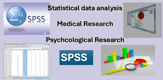 Gig Preview - Do an very efficient statistical work