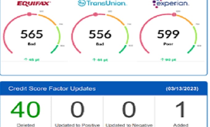 Gig Preview - Be personal online reputation manager, remove negative link, experian inquiries