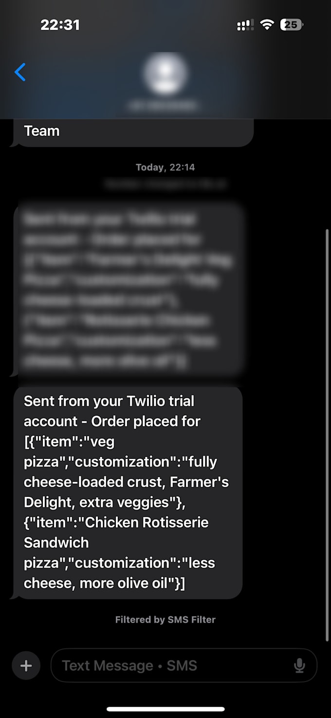 Gig Preview - Develop realtime ai agent with twilio that can take orders and appointments