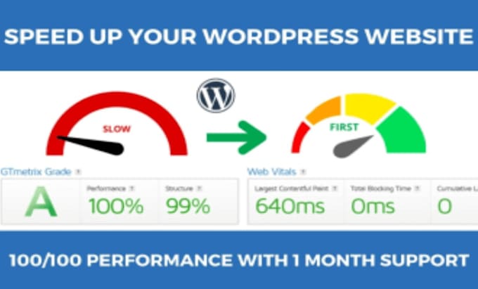 Gig Preview - Speed up wordpress website for google pagespeed insight