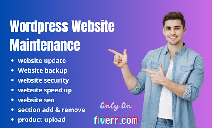 Gig Preview - Do wordpress website maintenance, monthly support and update