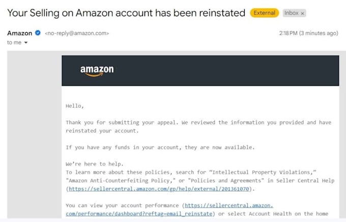 Gig Preview - Reinstate your amazon suspended account, appeal letter, plan of action