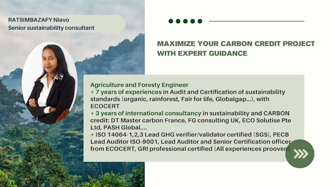 Gig Preview - Develop your carbon credit project