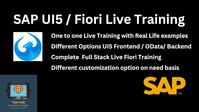 Gig Preview - Provide full stack sap ui5 fiori rap cds btp hana live training