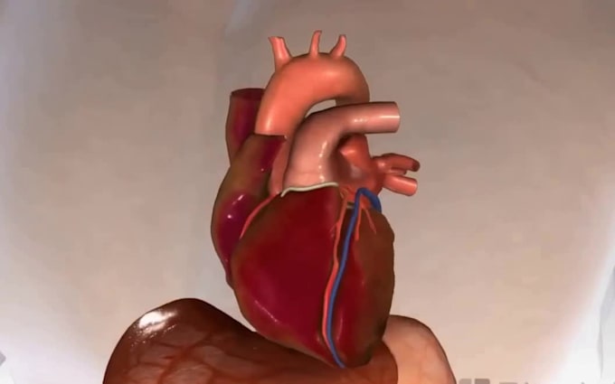 Bestseller - 3d medical animation surgery video industrial animation explainer video blender