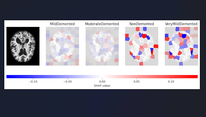 Gig Preview - Perform explainable ai on your machine learning model