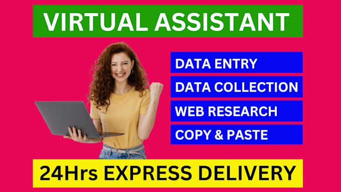 Gig Preview - Be your virtual assistant for data entry, copy paste and web research