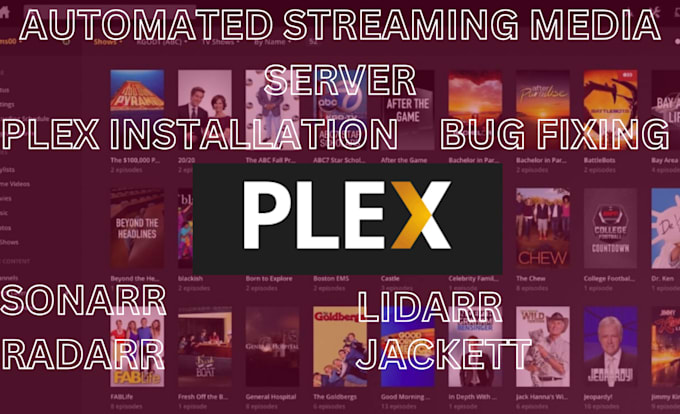 Gig Preview - Setup, configure plex media server and install automation sonarr, radarr, lidarr