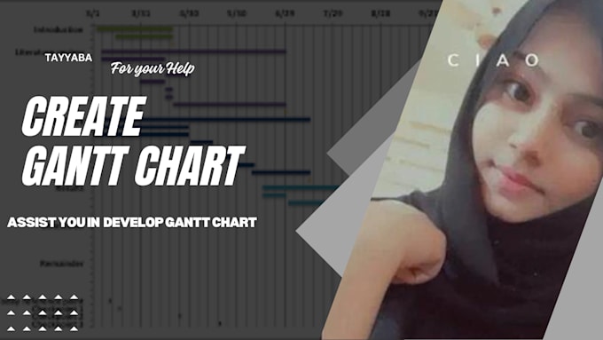 Gig Preview - Create gantt chart and analyze project in ms project