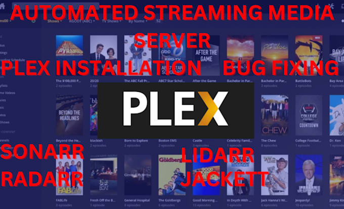 Gig Preview - Setup, configure plex media server and install radarr, lidarr, jackett, sonarr