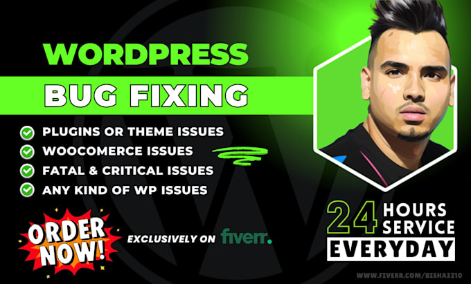 Gig Preview - Do fast wordpress fixes and custom changes