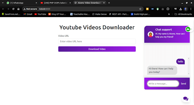 Gig Preview - Youtube video downloader and custom chatbot integration