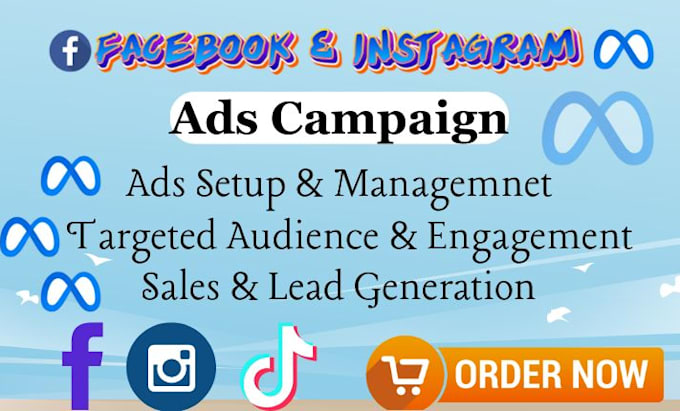 Bestseller - set up and manage facebook and instagram ads