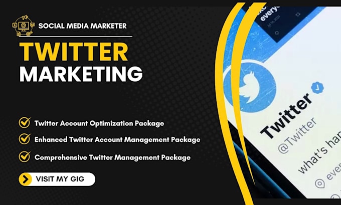 Gig Preview - Professional twitter account setup and organic growth strategy